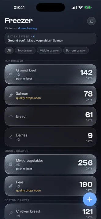 Freezer list: ground beef at 142 days heavily frosted, salmon at 78 lightly frosted, berries at 9 on clear glass