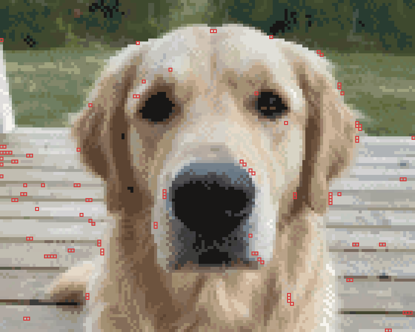 Cross stitch chart of a dog with 106 isolated single stitches circled in red, mostly on the porch boards