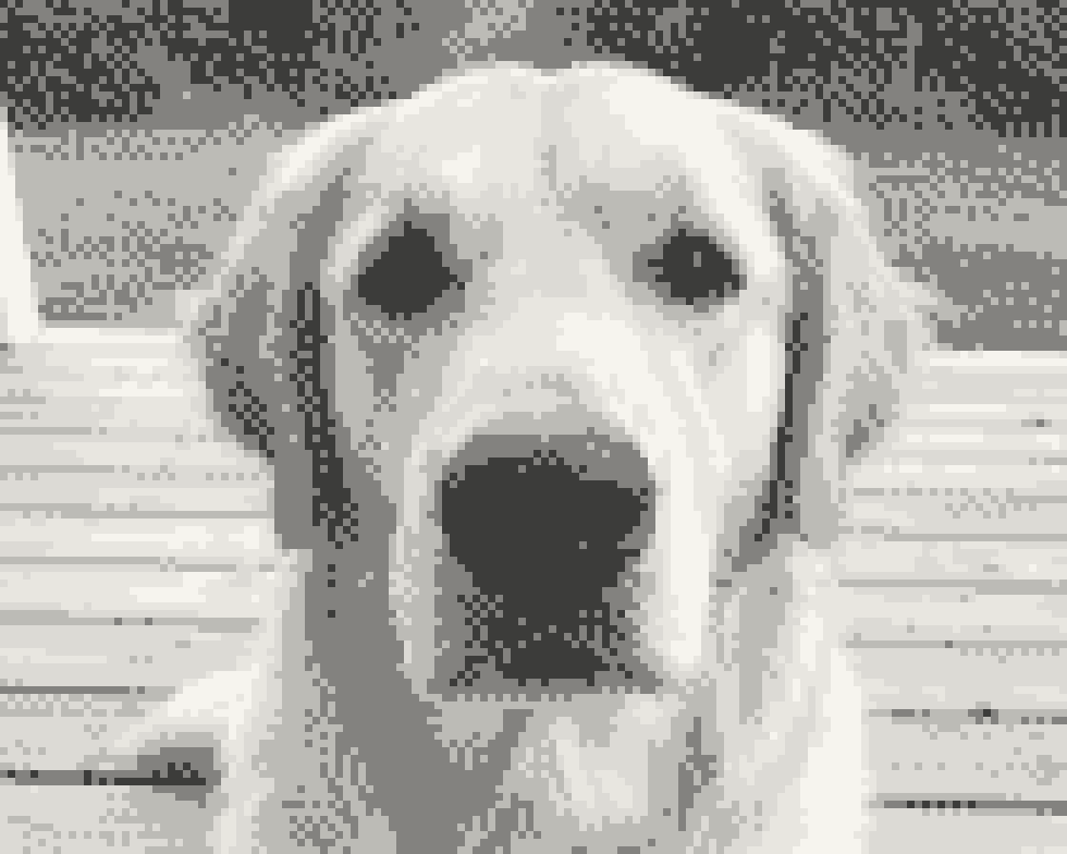 The dog rendered in one colour, DMC 310, using stitch density for shading