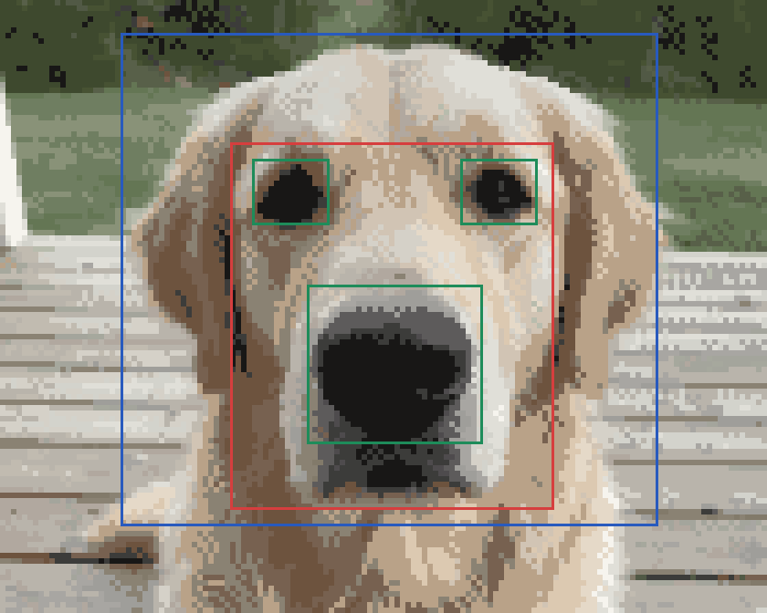 Cross stitch chart of a golden retriever with rectangles drawn round the head, the face, the nose and both eyes